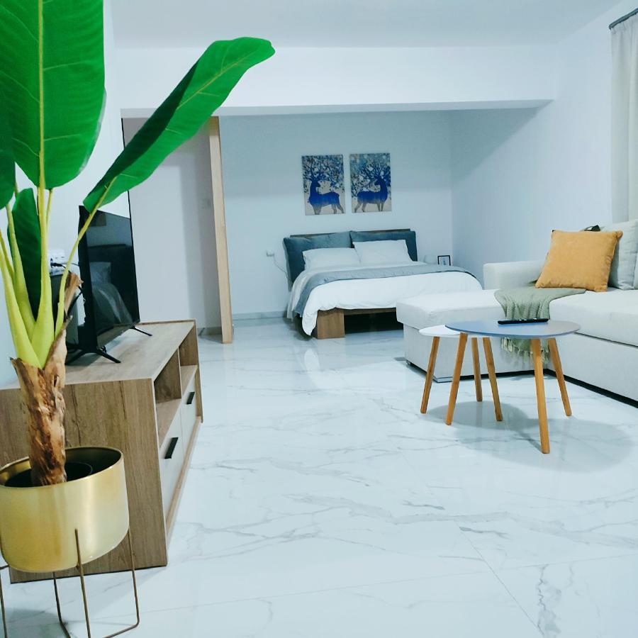 Unique By Perfect-Living Ιωάννινα Διαμέρισμα Εξωτερικό φωτογραφία